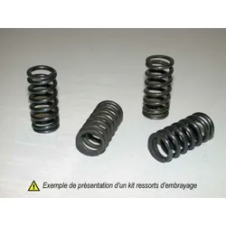 Tourmax Kawasaki Kupplungsfedersatz