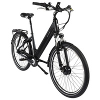 Allegro Andi 7 374 Falt-E-Bike 20 Zoll ab 1.299,00 € im Preisvergleich!