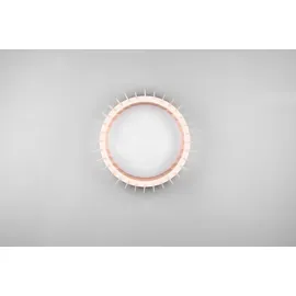 Trio Monte Deckenleuchte, LED, R62171130,
