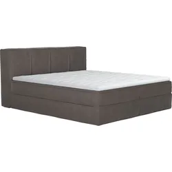 Boxspringbett HOME AFFAIRE "Sacy", silber, B:170cm L:230cm, 100% Polyester, Komplettbetten, Boxbett inkl. Topper, 2 Matratzen, Härtegrade H2, H3 und H4 wählbar