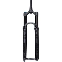 Fox 36 Performance 29 Zoll 160 mm Matte Black