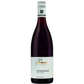 weingut werner Spätburgunder 2022 0,75 l
