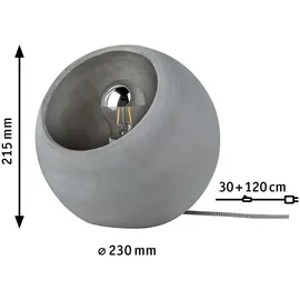 Paulmann Neordic Ingram (796.63)
