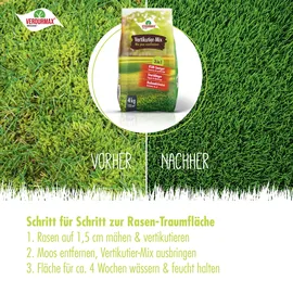 verdurmax® 1x 4 kg VERDURMAX® Vertikutier-Mix 3in1