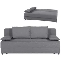 Roller Schlafsofa - silber - mit Staukasten