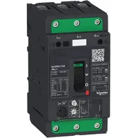 Schneider Electric GV4PE25N