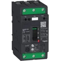 Schneider Electric GV4PE25N Motorschutzrelais 1St.