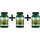 Swanson Löwenmähnenpilz Kapseln 500 mg 60 St.