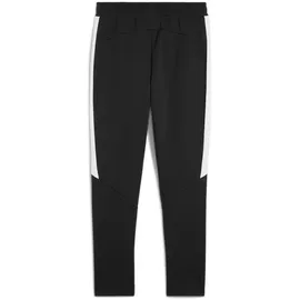 Puma teamEVOSTRIPE Pants PUMA black-puma silver-puma white (03) XXL