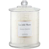 luxuskollektion Duftkerze Jasmin 280 g