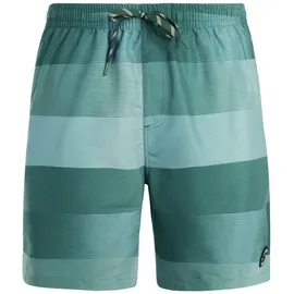 Protest Badeshorts Lomond Grau L