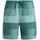 Protest Badeshorts Lomond Grau L