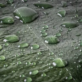 Kadax Gewebeplane 400 x 600 cm Grün