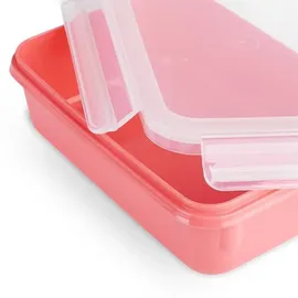 Emsa Clip & Close rechteckig koralle 0,2 l 4-teiliges Set
