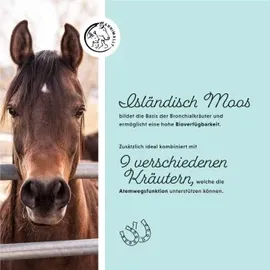 Annimally Bronchial Liquid 1l