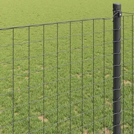 vidaXL Eurozaun 120 x 2500 cm Grau/Eisen