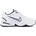 White/Metallic Silver