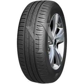 RoadX H11 XL