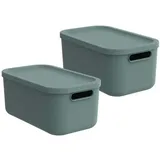 Rotho Albula Light Aufbewahrungsbox 12 l 2-tlg. grün