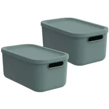 Rotho Albula Light Aufbewahrungsbox 12 l 2-tlg. grün