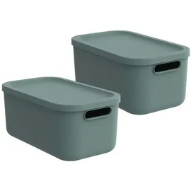 Rotho Albula Light Aufbewahrungsbox 12 l 2-tlg. grün