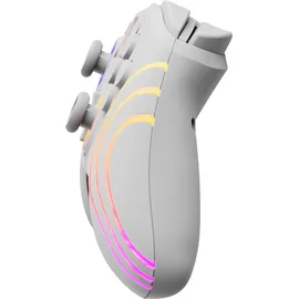 PDP Afterglow Wave Controller Weiss Nintendo Switch