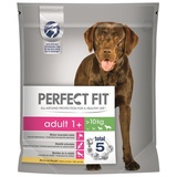 PERFECT FIT Dog Adult 1+ M/L 1,4 kg