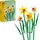 LEGO Botanicals Narzissen 40747