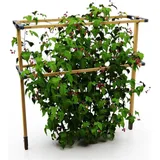 Gusta Garden Berry Buddy Rankhilfe 480 x 0 x 0 cm Braun