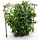 Gusta Garden Berry Buddy Rankhilfe 480 x 0 x 0 cm Braun