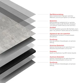Schulte Duschrückwand Beige/Grau