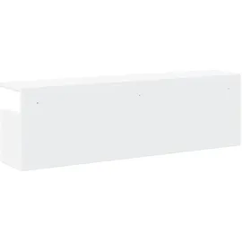 vidaXL Wandschrank 100 x 20 x 30 cm Weiß