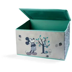 Lizenz Aufbwahrungsbox (Mickey)