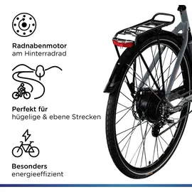 Zündapp Z810 2021 28 Zoll RH 50 cm Damen grau