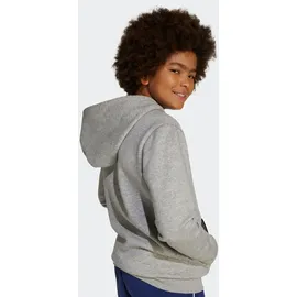 adidas Hoodie Grey 176