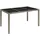 vidaXL Gartentisch mit Glasplatte 150 x 90 x 75 cm Grau