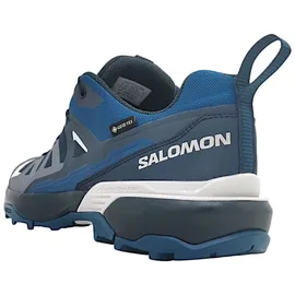 Salomon X Ultra 360 GTX Herren Carbon / India Ink / Deep Dive 46 2/3
