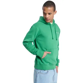 QUIKSILVER Salt Water Graphic Hoodie Grün L