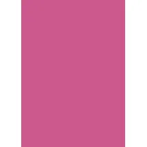 Brunnen Universalpapier A4 80 g/m2 50 Blatt