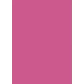 Brunnen Universalpapier A4 80 g/m2 50 Blatt