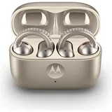 Motorola Moto Buds Loop French Oak