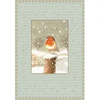 Coppenrath Verlag A4-Wand-Adventskalender Marjoleins Rotkehlchen