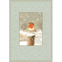 Coppenrath Verlag A4-Wand-Adventskalender Marjoleins Rotkehlchen
