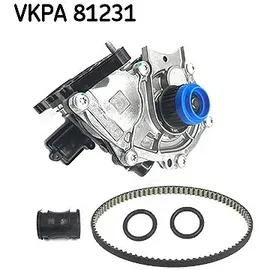 SKF Wasserpumpe, Motorkühlung [Hersteller-Nr. VKPA81231] für Audi, Seat, Skoda, VW