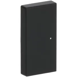 Busch-Jaeger Wippe sw mt future linear 6230-20-885