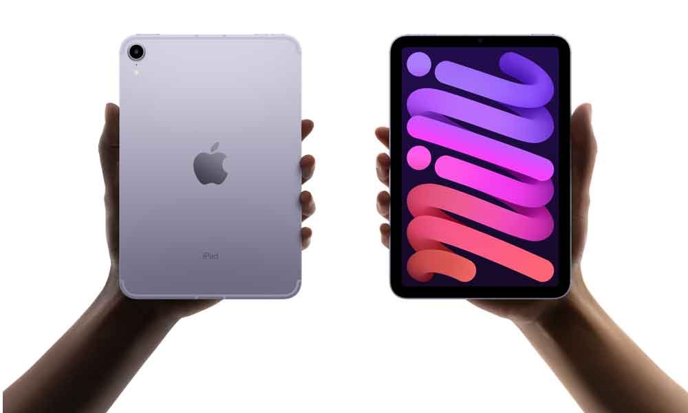 Apple iPad mini Wi-Fi + Cellular - 6. Generation - Tablet - 256GB - 21,1 cm (8.3") IPS (2266 x 1488) - 3G, 4G, 5G - pink (MLX93FD/A)