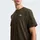 The North Face - EVOLUTION SIMPLE DOME SHORT SL, Größe M in Grau new taupe GREEN