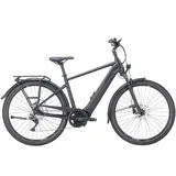 Pegasus Premio Evo 10 Lite - 28 Zoll 750Wh 10K Diamant - black matt - L