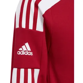 adidas Squadra 21 Red/White 116