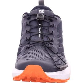 Salomon Sense Ride 5 GTX für Herren Trailrunningschuhe, grau, 47 EU -